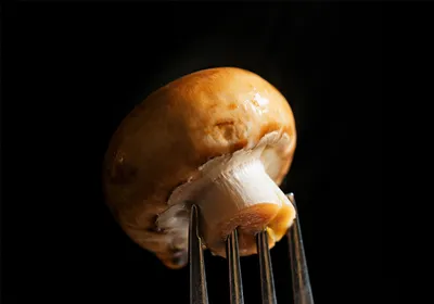 A button-mushroom on the tip of a fork. A button-mushroom on the tip of a fork.